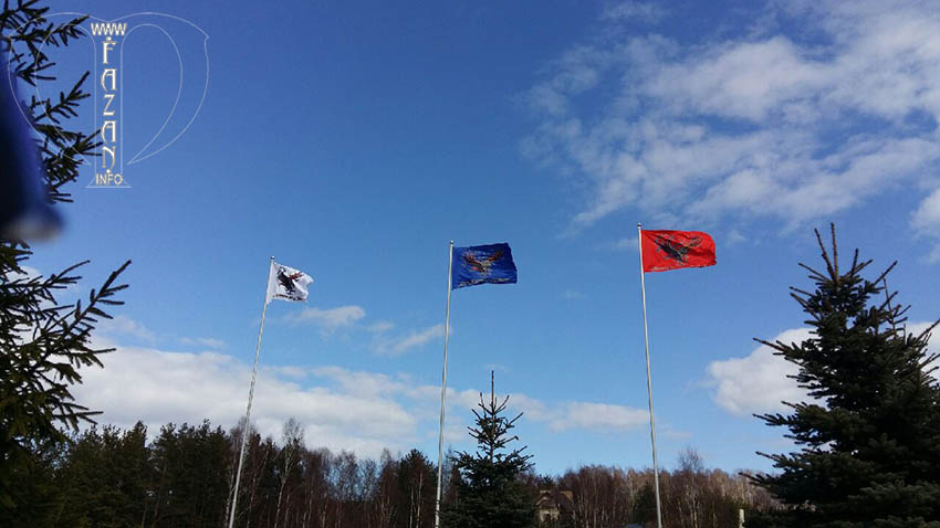 Готовые полотнища флагов, выполненные на основе базового эскиза.